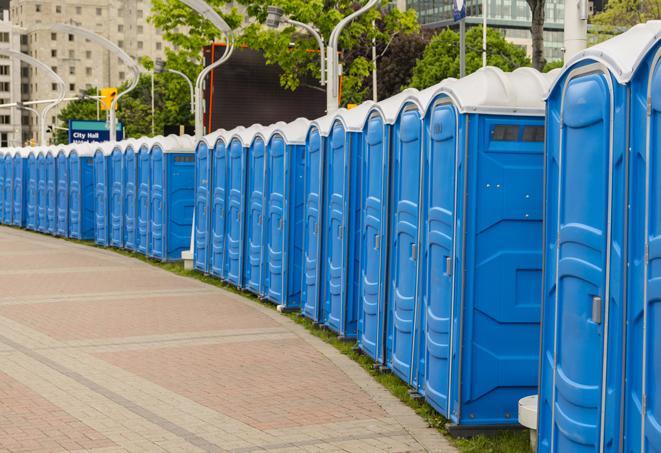 a line of portable restrooms set up for a wedding or special event, ensuring guests have access to comfortable and clean facilities throughout the duration of the celebration in Alpine